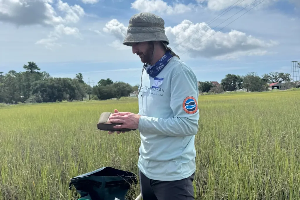 The grass looks healthy. But most of Georgia’s marshes are losing their roots to sea level rise