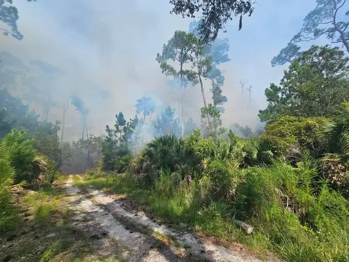 Seeing smoke? Lightning strike causes wildfire at Wassaw National Wildlife Refuge