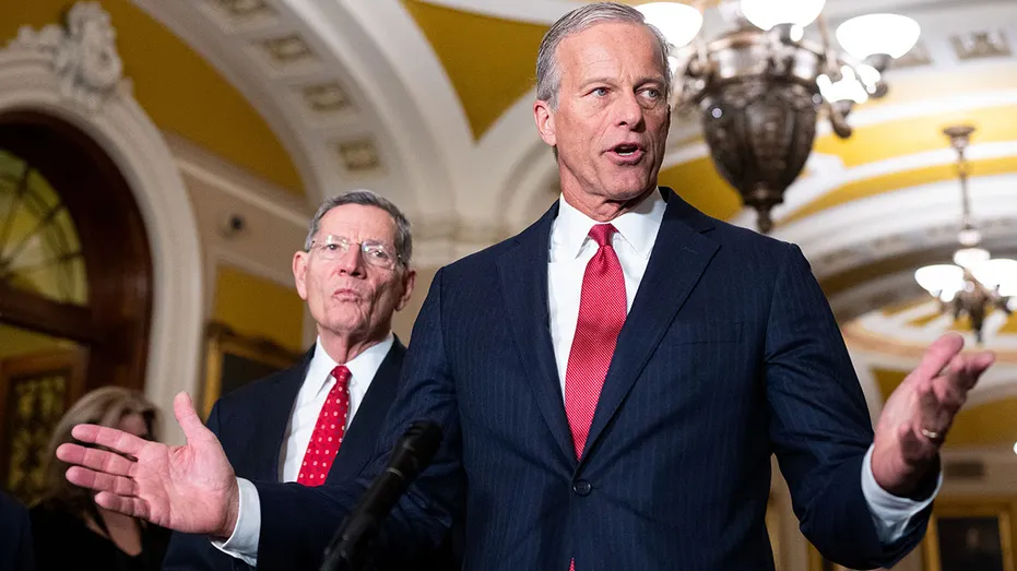 Thune-aligned groups unleash historic war chest to defend Senate majority: ‘Winning message’